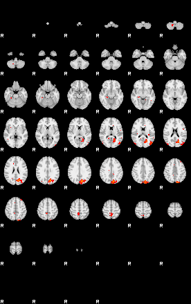 Patients 29797 23