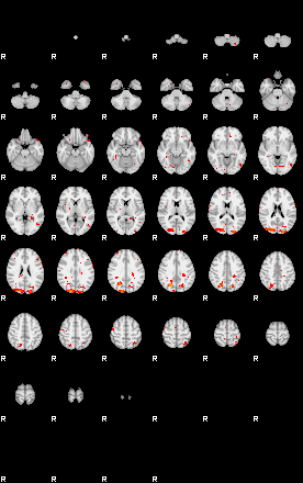 Patients 28901 12