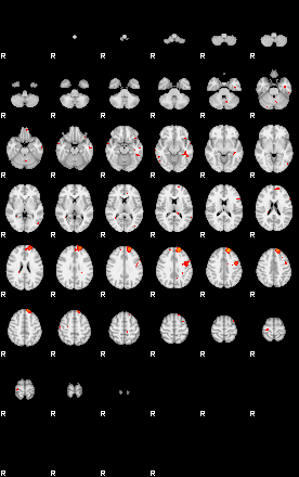 Patients 29167 18