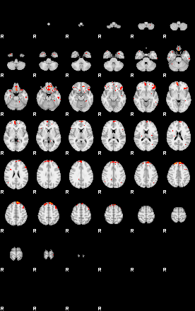 Patients 29559 35