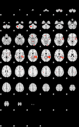 Patients 29666 71