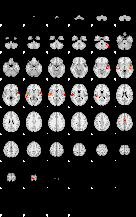 Patients 29167 110