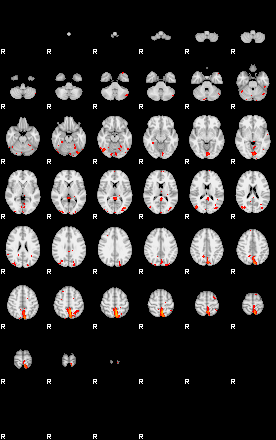 Patients 29729 19