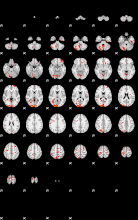 Patients 29017 71