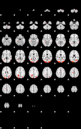 Patients 29400 117