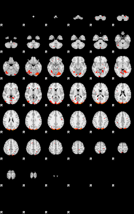 Patients 29675 10