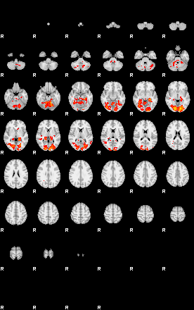 Patients 29743 9