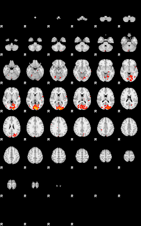 Patients 28931 132