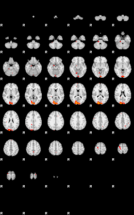 Patients 29159 10