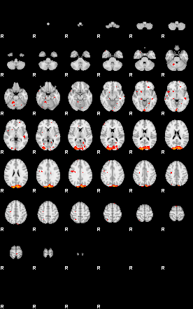 Patients 29175 166