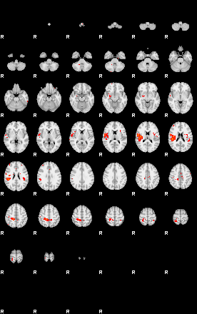 Patients 29400 53