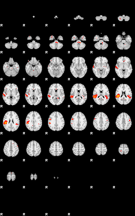 Patients 29671 53