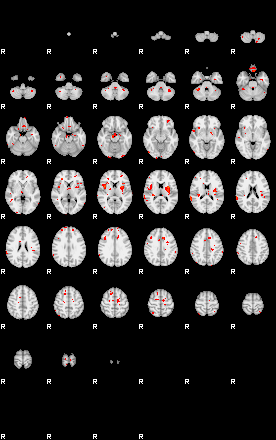 Patients 29481 62