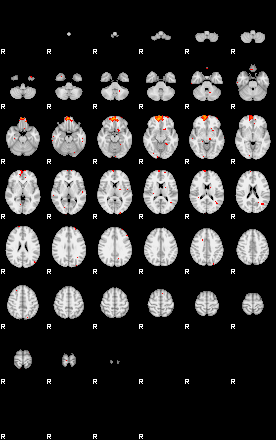 Patients 29730 199