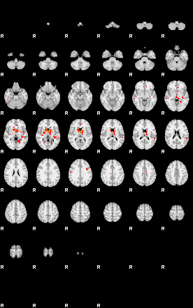 Patients 29449 182