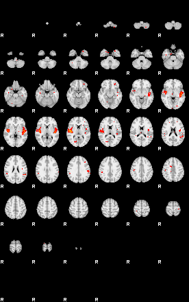 Patients 29109 74