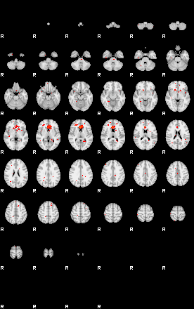 Patients 29521 92