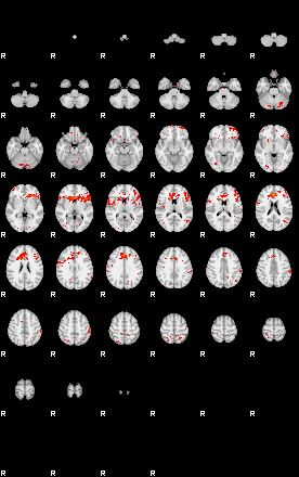 Patients 29591 132