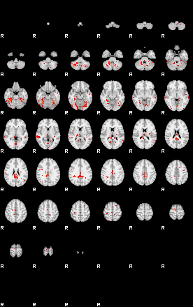 Patients 29591 21