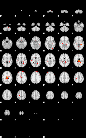 Patients 29735 134