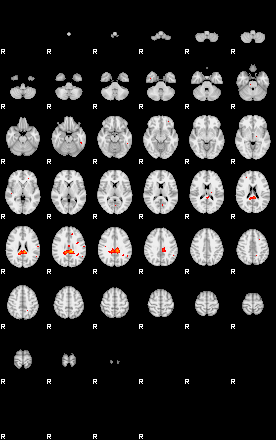 Patients 29400 20