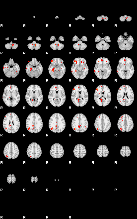 Patients 28967 23