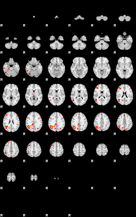 Patients 29167 141