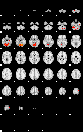 Patients 29116 113