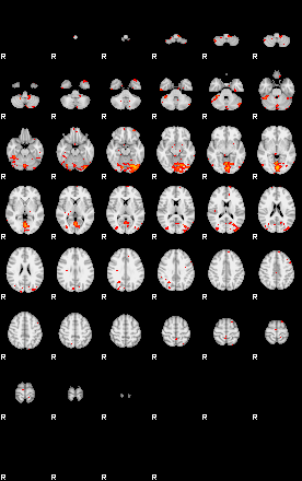 Patients 29177 17