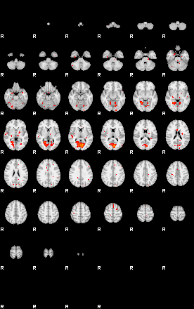 Patients 29211 146