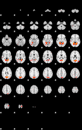 Patients 29030 89