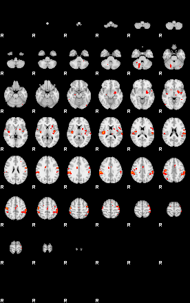 Patients 29202 17