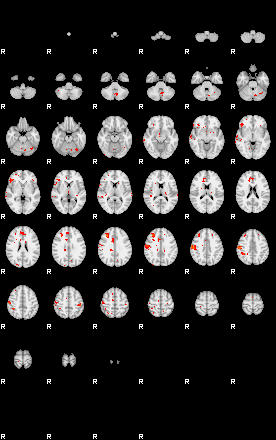 Patients 29562 79