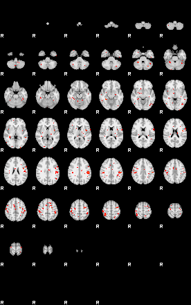 Patients 29612 42