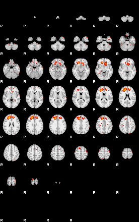 Patients 28676 20