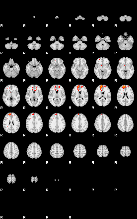 Patients 29164 196