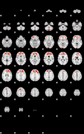 Patients 29185 156