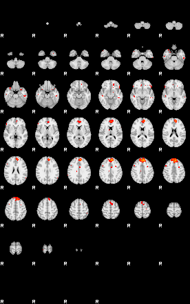 Patients 29155 17