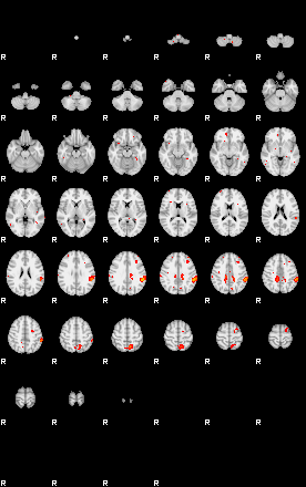 Patients 28901 17