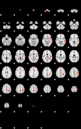 Patients 29204 41