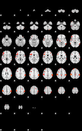 Patients 29204 9