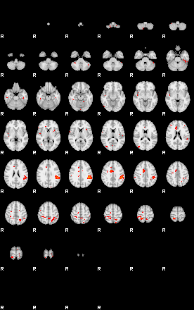 Patients 29212 151