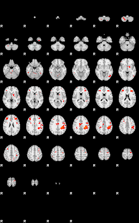 Patients 29400 41