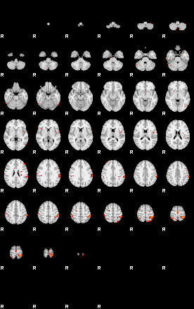 Patients 29509 54