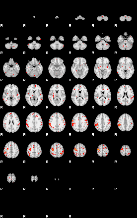 Patients 29606 177