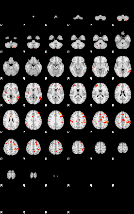 Patients 29659 8