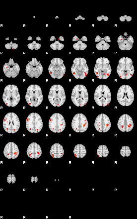 Patients 29677 39