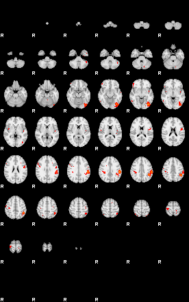 Patients 29150 173