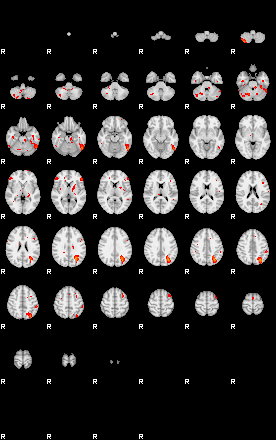 Patients 29104 63