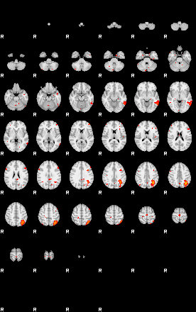 Patients 29177 41